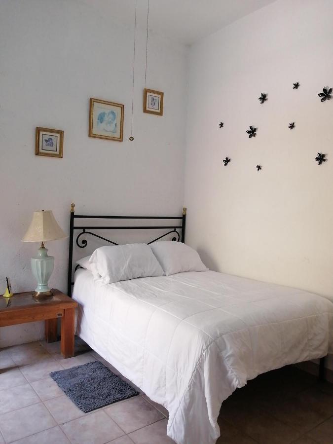 Hotel Alborada Allende San Miguel de Allende Ngoại thất bức ảnh